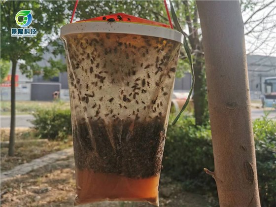 養殖場蒼蠅捕捉器