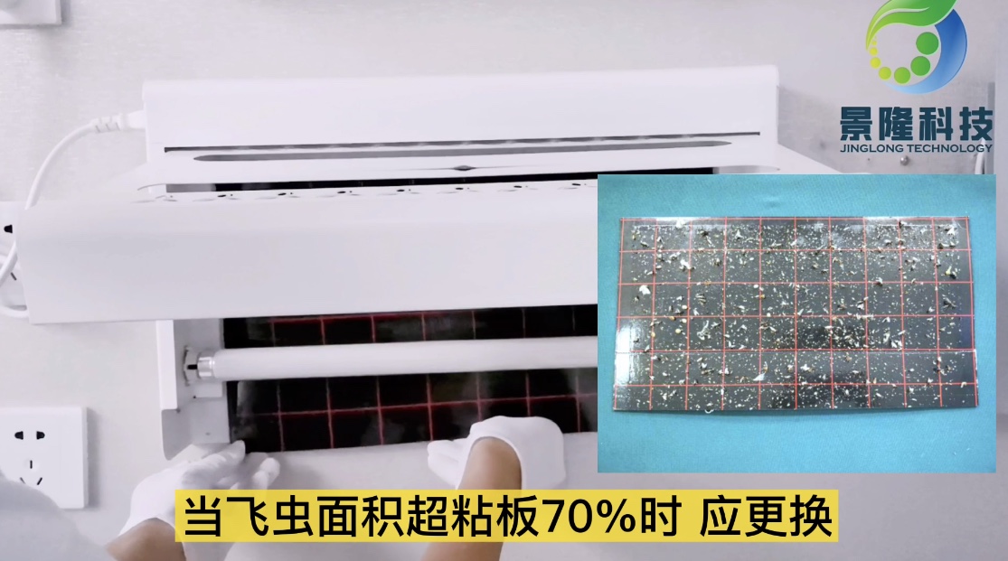 獵蠅者粘捕式滅蠅燈維護
