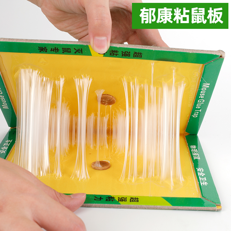 蟲(chóng)控公司使用粘鼠板的布置技巧